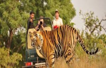 Haridwar Wildlife Tour Packages | call 9899567825 Avail 50% Off